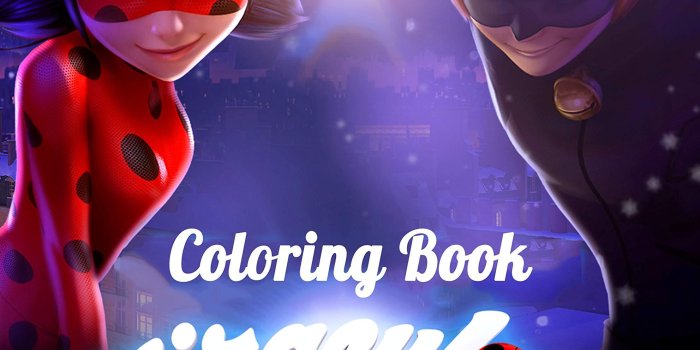 1983x2560 Cat Noir Wallpapers