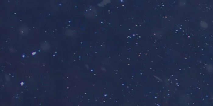 960x1705 Cat Noir Wallpaper