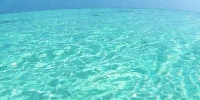 700x1244 Beach Bliss