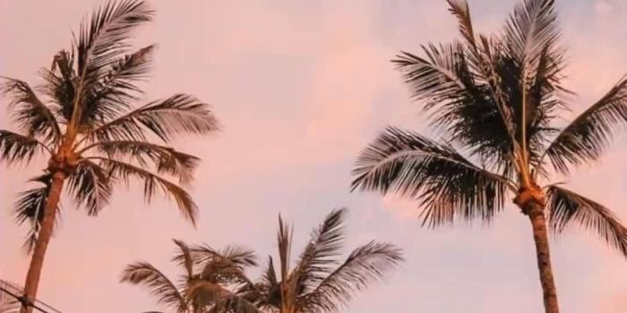 1080x1920 Cute Preppy Summer Wallpapers