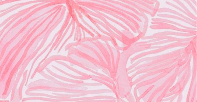 676x1200 Preppy Aesthetic Wallpaper Discover