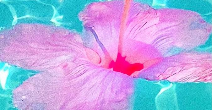 675x1200 Summer Wallpaper Inspo | Preppy