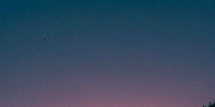 736x1308 Summer Wallpaper for iPhone - Best