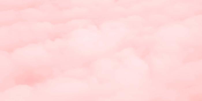 1920x1280 100+] Soft Pink Wallpapers | Wallpapers.com