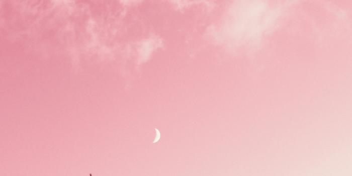 1000x1500 900+ Pink Background Images: Download