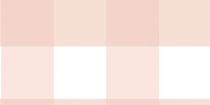 1000x1000 Chesapeake Amos Light Pink Gingham