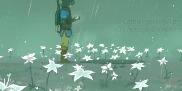 1065x2560 Best Totk iPhone Wallpapers [ 4k & HD