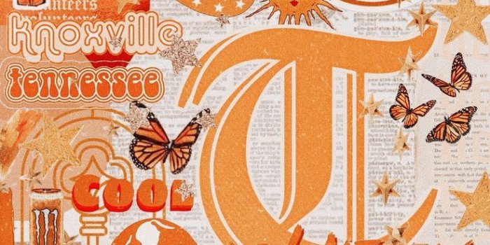 736x1308 Tennessee iPhone Wallpaper