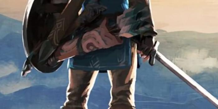 1065x2560 Best Totk iPhone Wallpapers [ 4k & HD