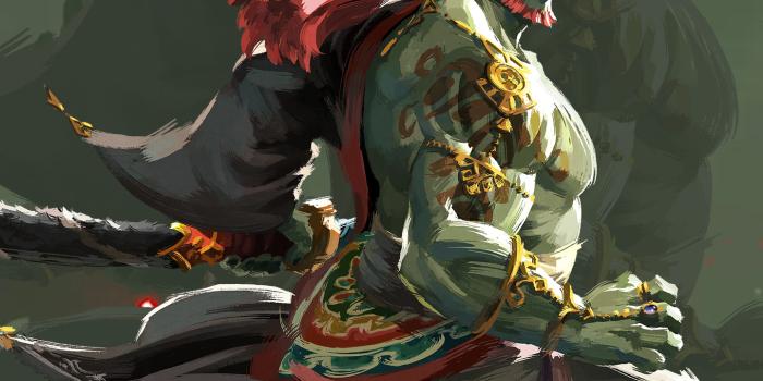 1440x2960 the Kingdom - Ganondorf Wallpaper - Cat