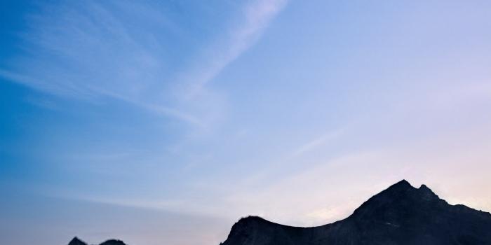 1394x2048 Cybertruck phone wallpaper You're