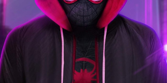 1601x2846 Spiderman into the Spider Verse iPhone