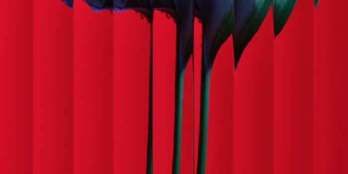 864x1920 Nothing Phone 1 wallpapers leaked