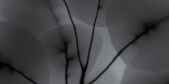 736x1635 Nothing phone(2) wallpaper | Fondos de