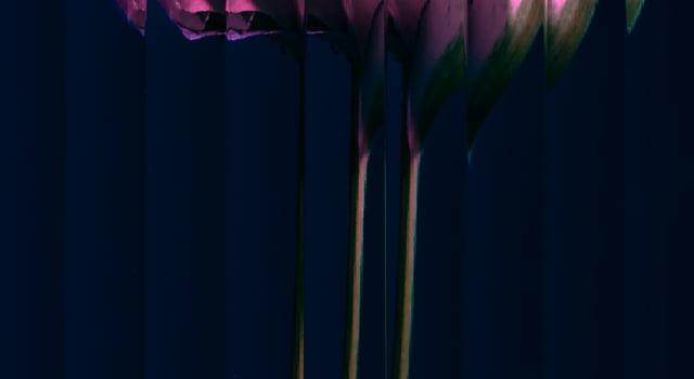 640x1422 Nothing Phone 1 Alternative Wallpapers