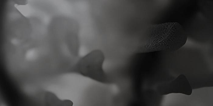 864x1920 Download the Nothing Phone 2 wallpapers