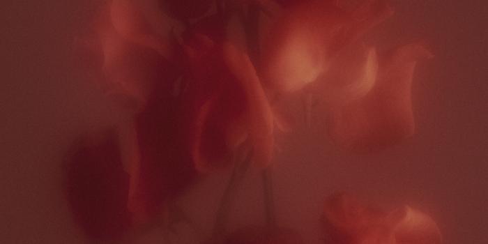 1242x2760 Nothing Phone 2 Wallpapers