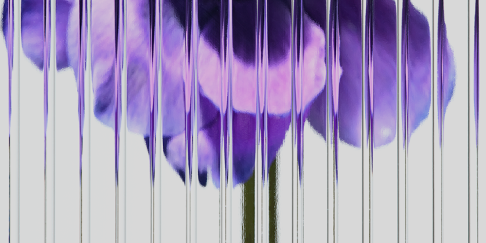 1242x2760 Nothing Phone 1 Official Wallpapers