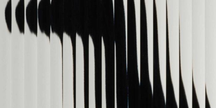 1242x2760 9to5google.com/wp-content/uploads/sites/4/2022/...