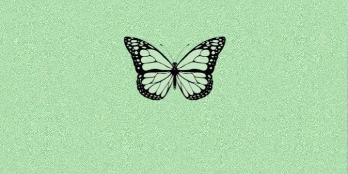 722x1280 Download Minimalist Butterfly Mint