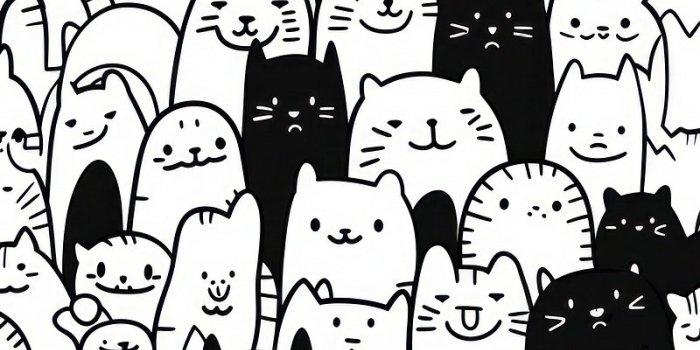 800x1427 Doodle Iphone Wallpaper | Free