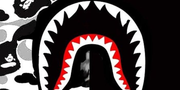 1080x1920 Top 23 Best Bape iPhone Wallpapers Download