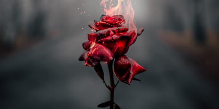 3495x5029 Cool 4K wallpapers for Girls