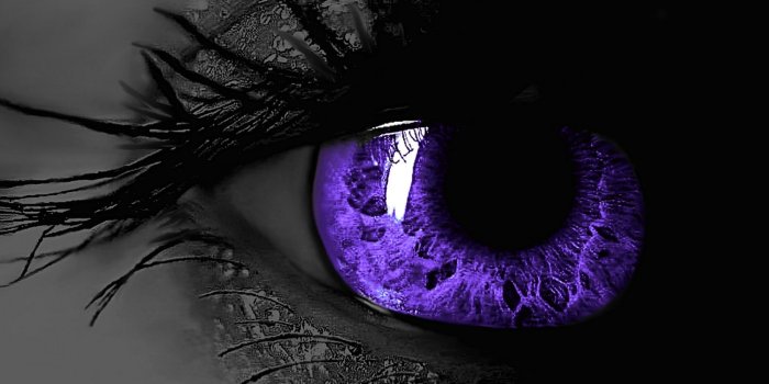 1680x1050 Black Purple Wallpaper 16616 - Baltana