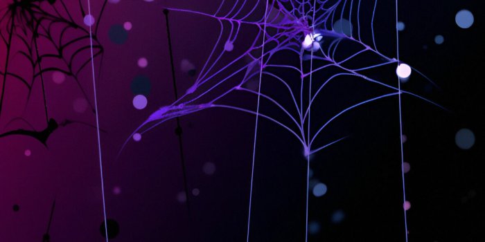 1181x2560 Spider Web Black & Purple Wallpaper