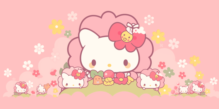 2912x1632 Hello Kitty Pink Floral HD Wallpaper by