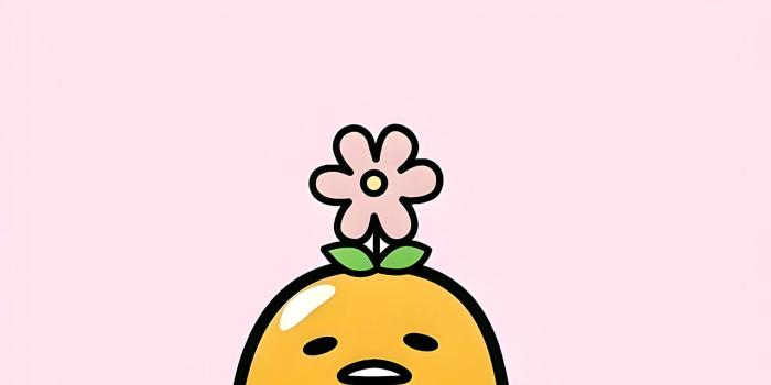 1536x864 Flower Light Pink Desktop Wallpaper