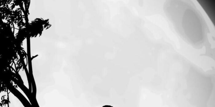 1080x1920 Depressed Boy iPhone Wallpapers -Top 25