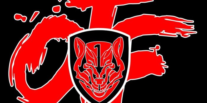 928x1200 Wolfpack Elite Youth Sports on X