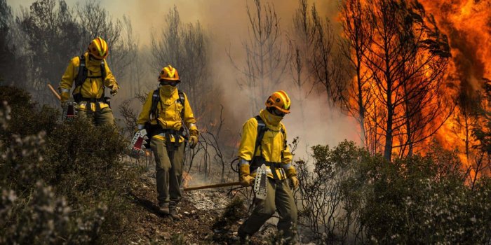 1535x1024 Forest With A Large Fire