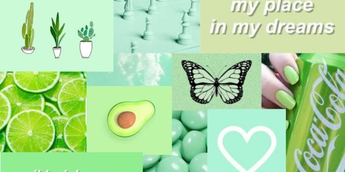736x1308 green collage wallpaper | Glitter phone