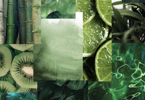 506x900 100+] Green Collage Wallpapers