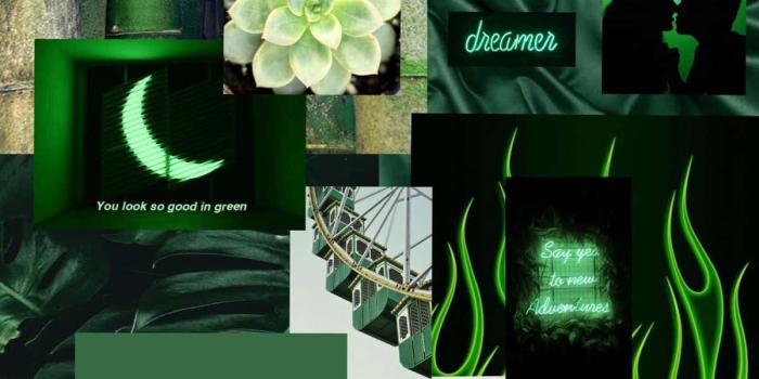 1200x1200 natural elements. Wallpaper