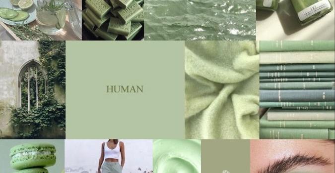 675x1200 Sage Green Collage Wallpapers