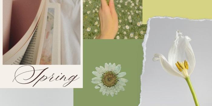 900x1600 Free and customizable wallpaper green