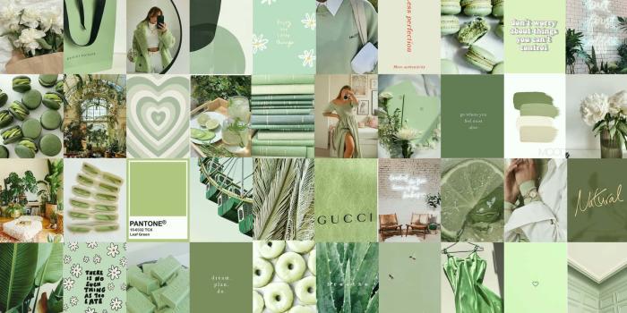 1920x1541 200+] Sage Green Aesthetic Wallpapers