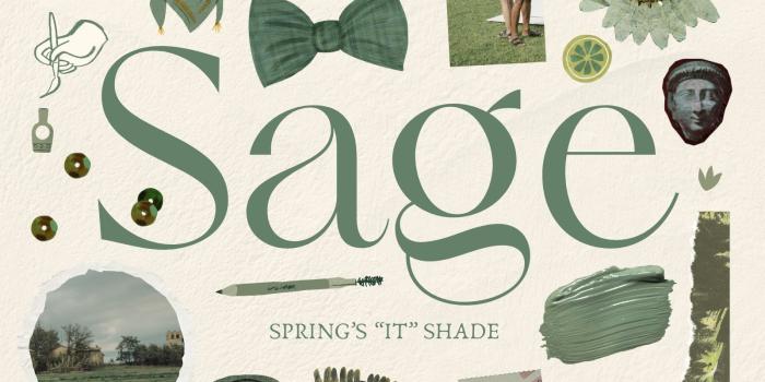 1600x1600 sage green wallpaper templates