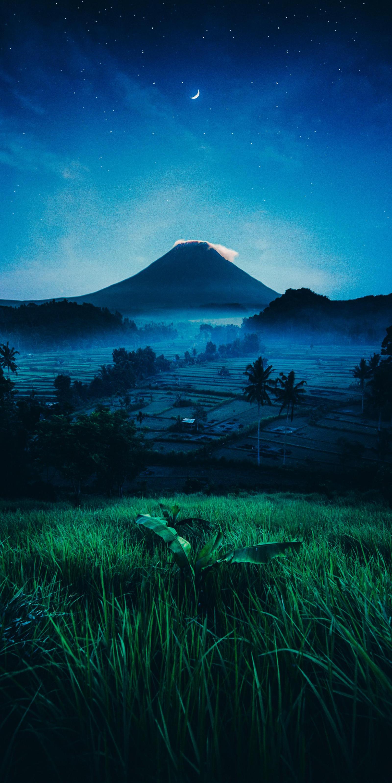 1983x3958 A lovely view wallpaper - link in