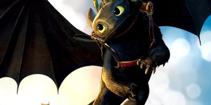 1080x1920 Train Your Dragon Phone Wallpaper