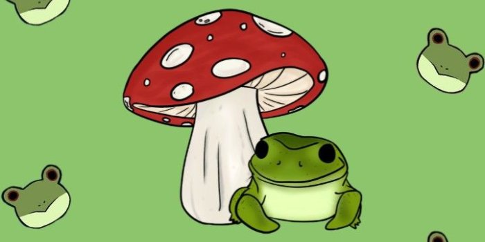 720x1600 обои с лягушками | Frog wallpaper