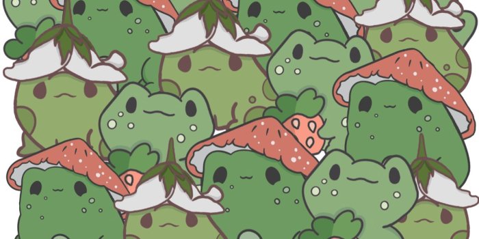 1200x839 Mushrooms Wallpapers