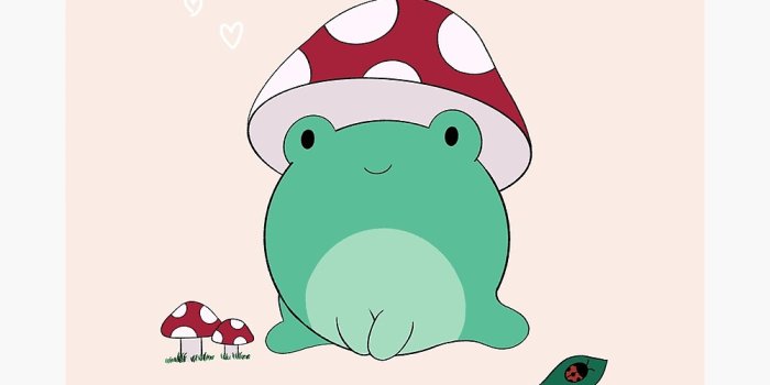 1000x1000 Mushroom Wallpapers