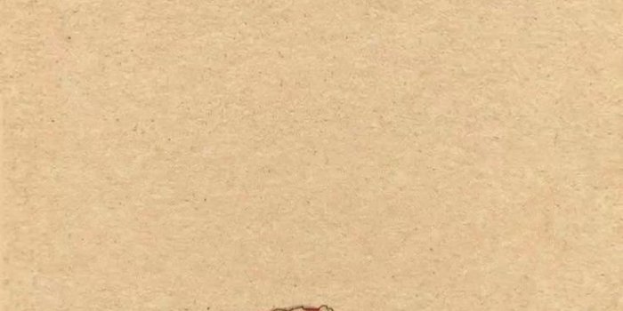 736x1308 Frog drawing | Wallpaper doodle, Frog