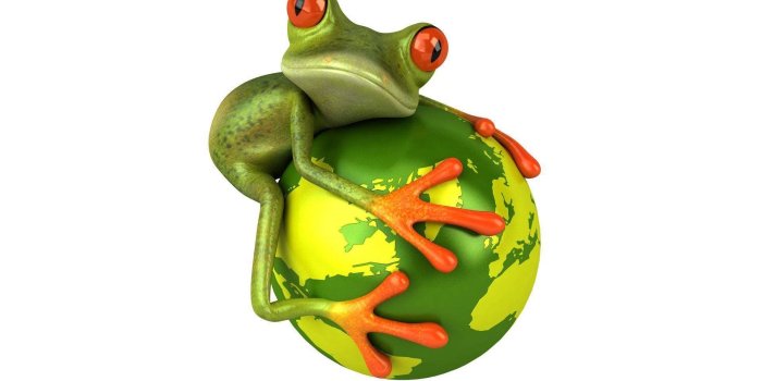 1920x1200 100+] Kawaii Frog Wallpapers