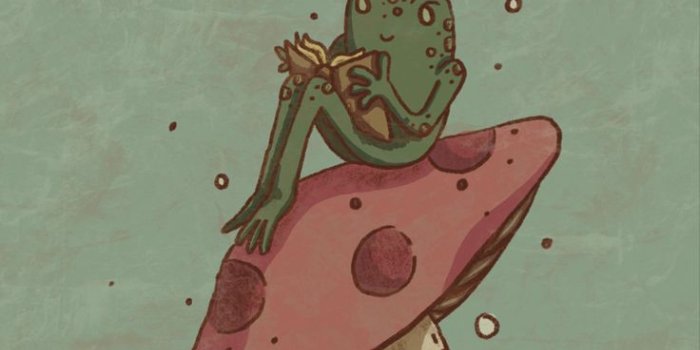 736x1165 Toad Stool | Frog art, Frog wallpaper