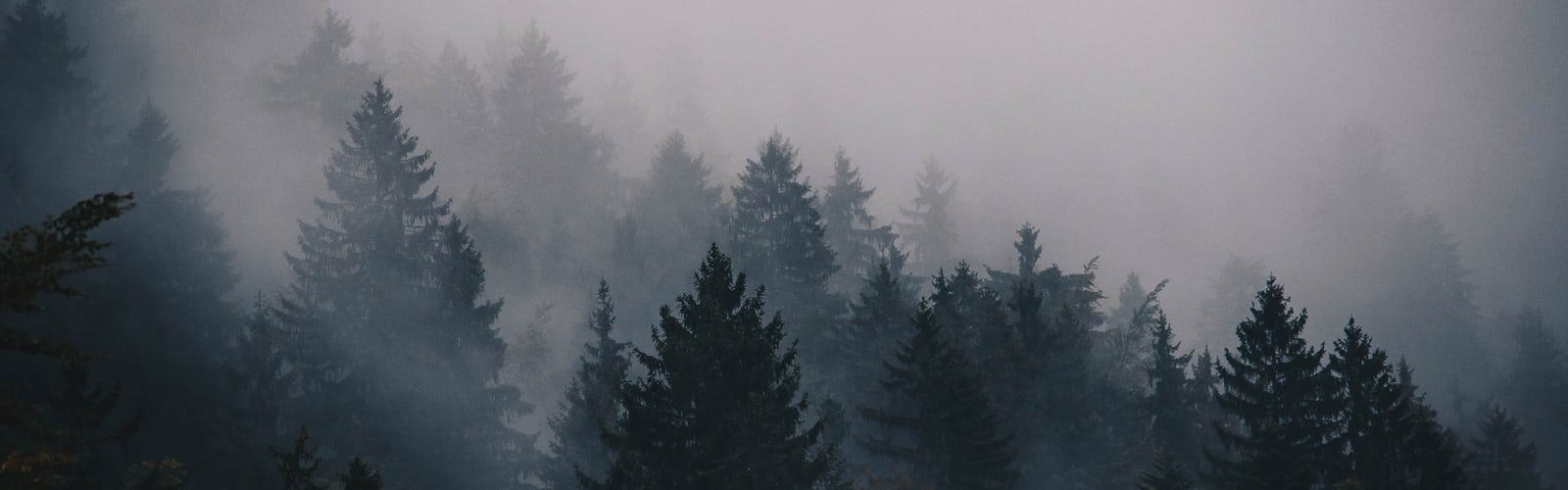 1600x500 all black aesthetic | A collection of black photos ready to fit an